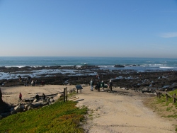 p1200888