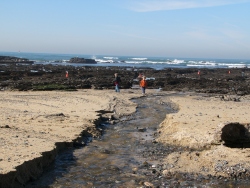 p1200889