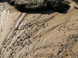 p1200890