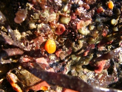 p1200901