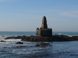 p1200903