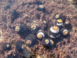 p1200937