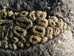 p1200938