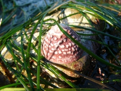 p1200940