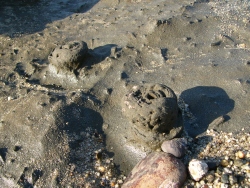 p1200946