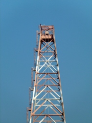 p2020465rn