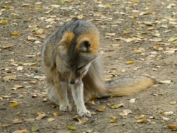 p2060878