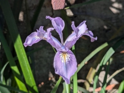 pxl20260318180058113