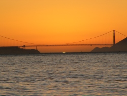 p1140494
