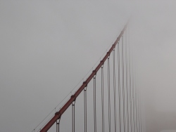 p1260699