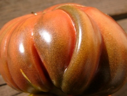 p1080577