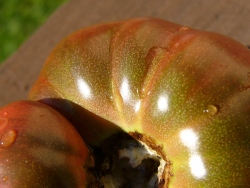 p1090127