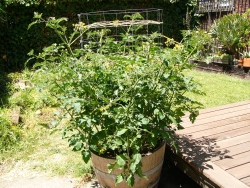 p1110046