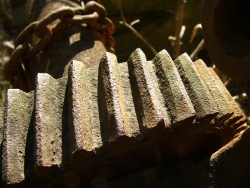 p1160299