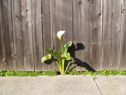p1170025