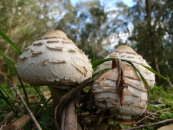 p1200376