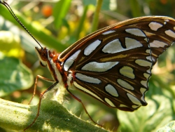 p1200379