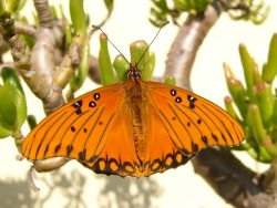 p1200383