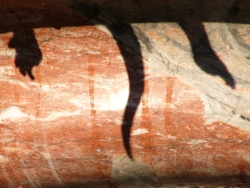 p1200678