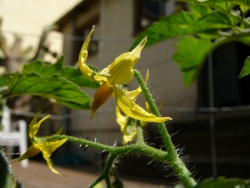 p1170807