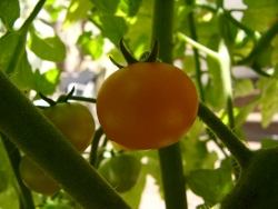 p1180837