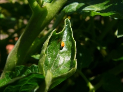p1220080