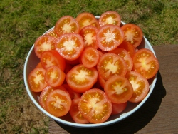 p1230065