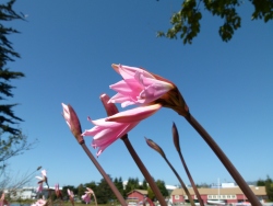 p2030232