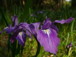 p1170814