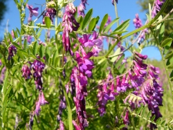p1170818
