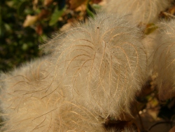 p1010792