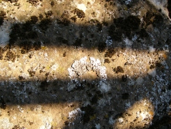 p1010797