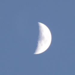 p2320211c