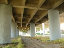 p1220369