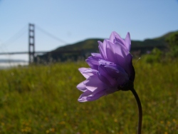p1210240