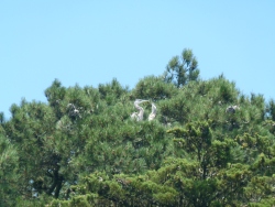 p2380487
