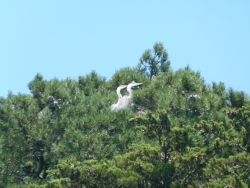 p2380489