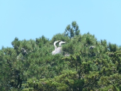 p2380491