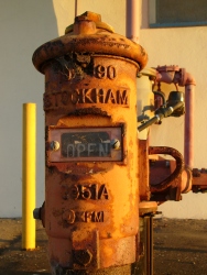 p1140539r
