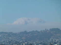 p2310284