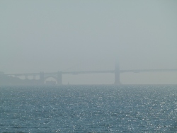 p2310285