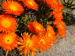 p1170315