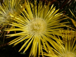 p1170316
