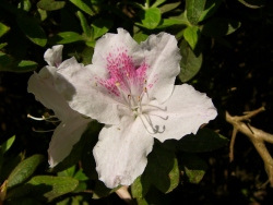 p1170327