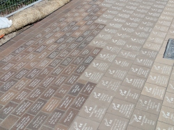 pxl20250321214018453