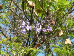 p2300704