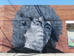 p2320900