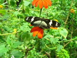 p1300271