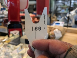 pxl20241021200420723