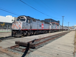 pxl20241021205006520